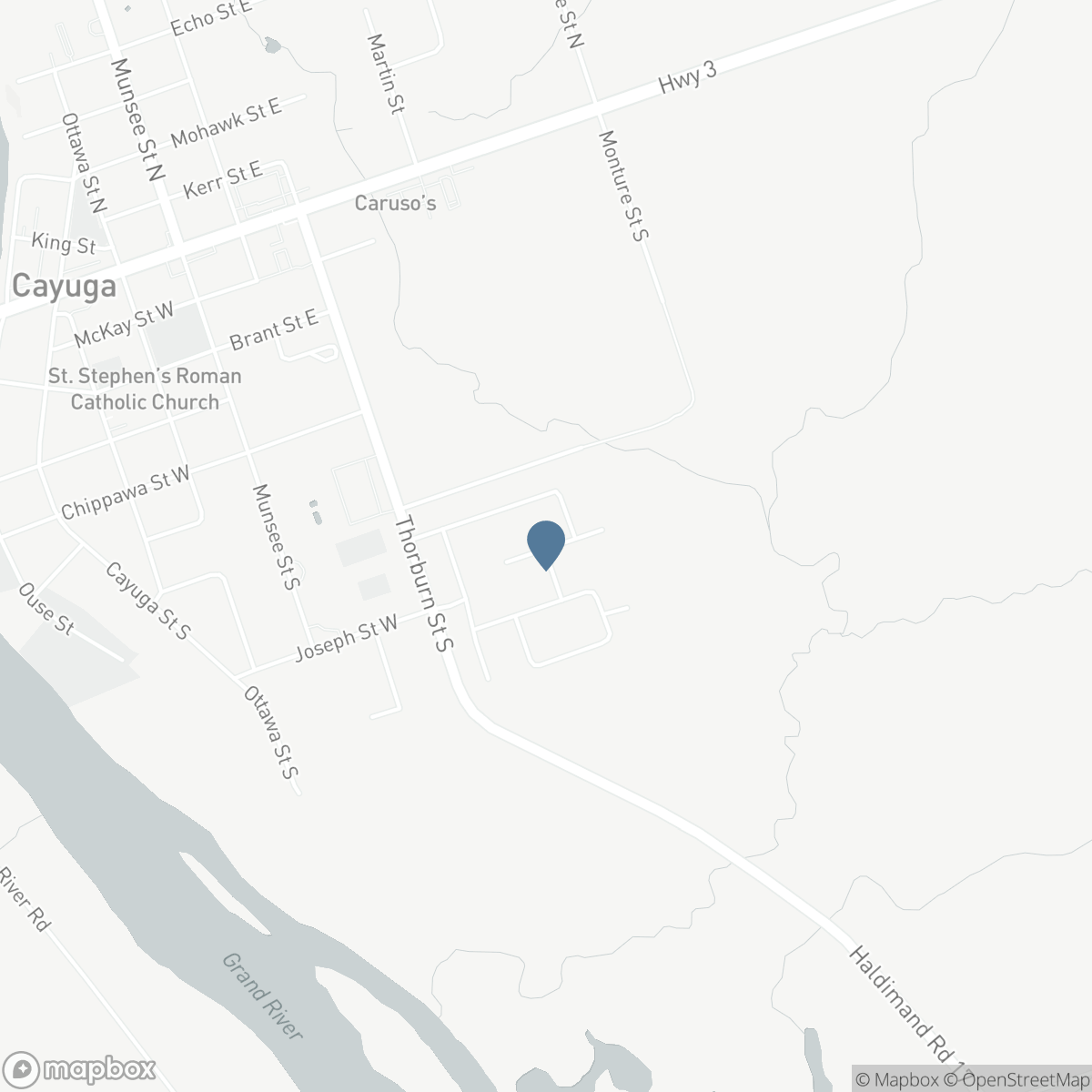 163 PIKE CREEK Drive, Cayuga, Ontario N0A 1E0
